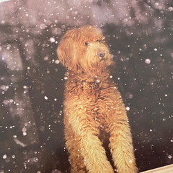 新商品♪クリスマス！『雪の降る日　お洒落なクリスマスカードセット』 2枚目の画像