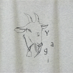 セール【L】Yagi　ドルマンTシャツ　レディース 2枚目の画像