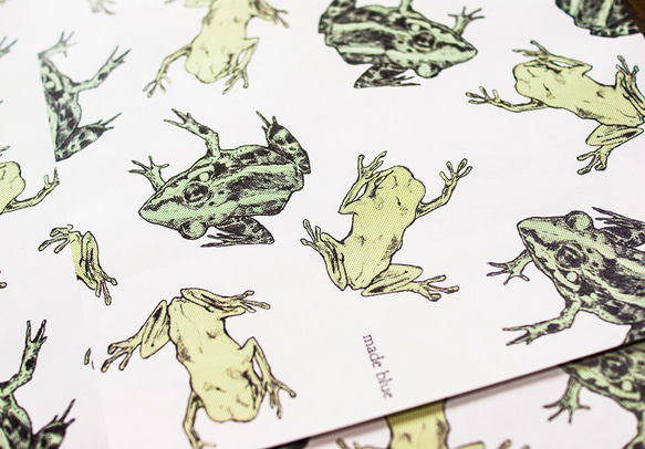 Frog - Wrapping paper 1枚目の画像