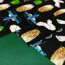 Black chic insects -Waxpaper Bookcover- 2枚目の画像