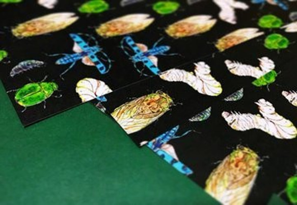 Black chic insects -Waxpaper Bookcover- 2枚目の画像