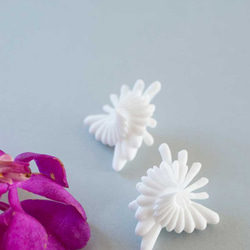 Spiral Earrings White 第5張的照片