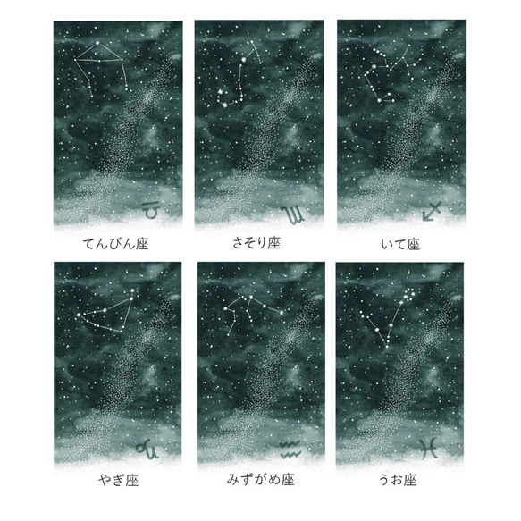 片マチ ファスナーポケット付キーケース（12星座の星空※12デザイン) 牛革 レディース メンズ 12枚目の画像