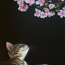 水彩アート「シャム猫と薔薇」手描き原画、1点物。送料無料