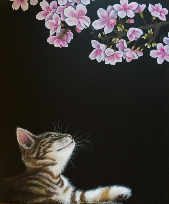 チョークアート作品 手描き ペット画 一点物　チョークアート作品原画「春、桜、猫」 1枚目の画像