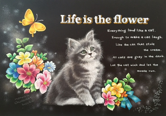 Life is the flower～ねこ～　『ペットと暮らす2021』 1枚目の画像