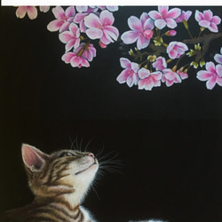 「春・桜・猫」iPhone7手帳型スマホケース 3枚目の画像