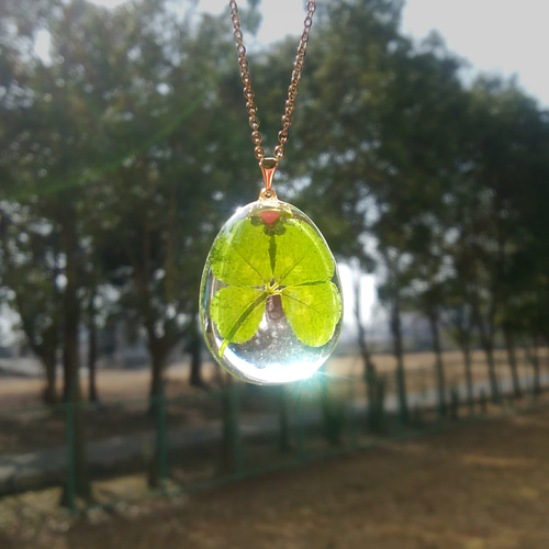 四つ葉のクローバー 押し花 四葉 四つ葉 むしら レジンアクセ  