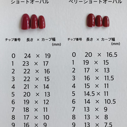 No.7 シースルーピンク×シェル 3枚目の画像