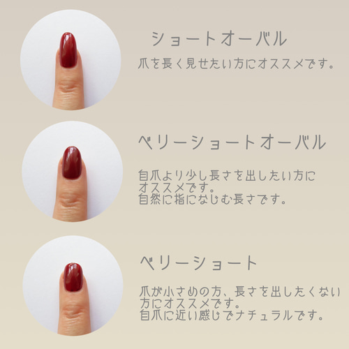 サンプルチップ3種類 ネイルチップ（つけ爪） T's 通販 11658385
