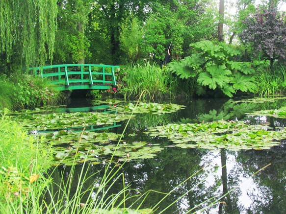 モネの池 1枚目の画像