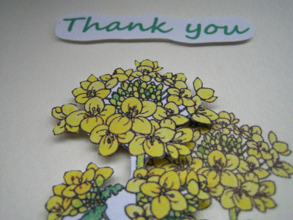 Thankyou カード 春黄色 【菜の花】 （1枚） 1枚目の画像