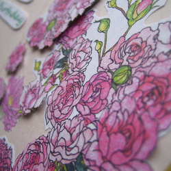 誕生日カード 花さんぽシリーズ 【春桃色】 桜＆バラ＆カーネーション（1枚） 4枚目の画像