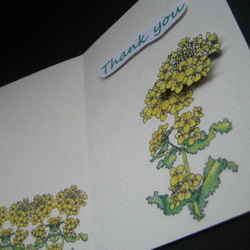 感謝カード 【春黄色 菜の花】 2枚目の画像