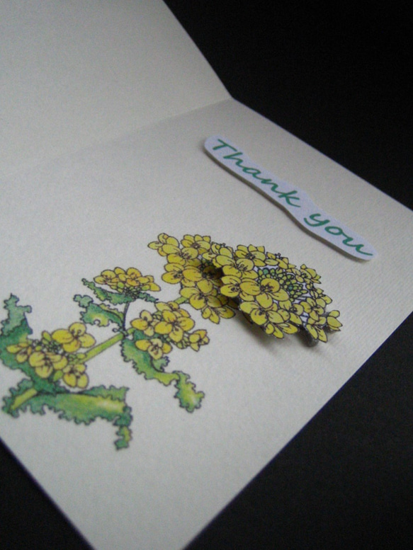 感謝カード 【春黄色 菜の花】 5枚目の画像