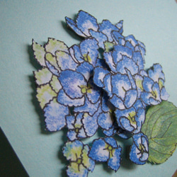 フリーメッセージカード 【夏青色 紫陽花】 5枚目の画像