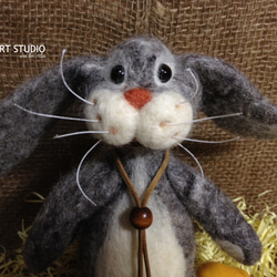 Rabbit Roger 2枚目の画像