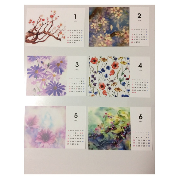 【値下げ】カレンダー 卓上 花・植物 2枚目の画像