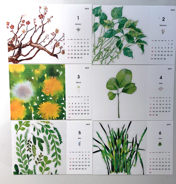 2019年『植物・草 卓上カレンダー』 3枚目の画像