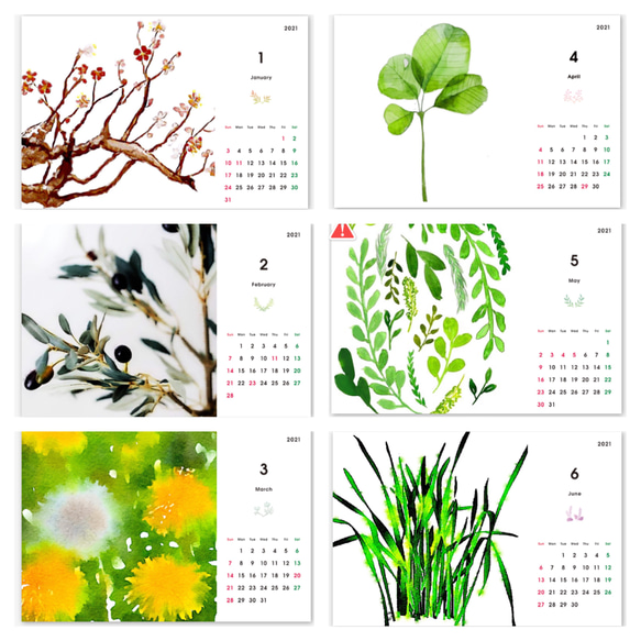 2021年日曆植物/草【定做】 第2張的照片