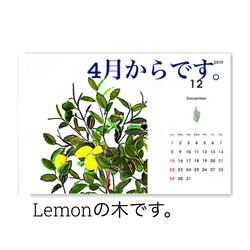 【2019年４月から植物・草】卓上カレンダー/受注制作 1枚目の画像