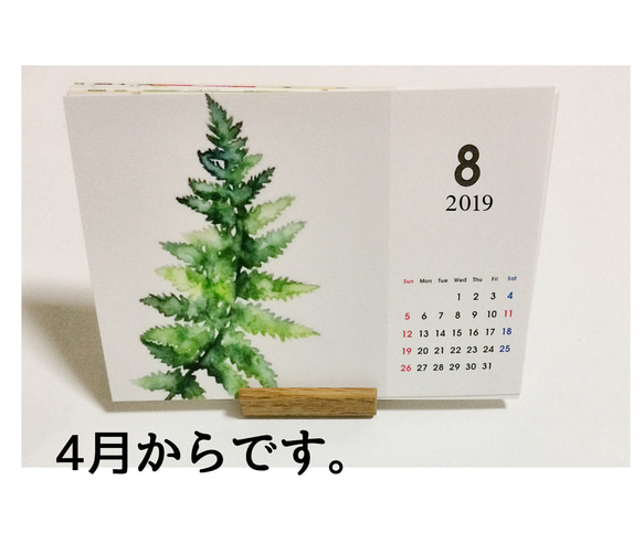 【2019年４月から植物・草】卓上カレンダー/受注制作 2枚目の画像