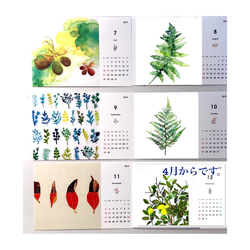 【2019年４月から植物・草】卓上カレンダー/受注制作 4枚目の画像