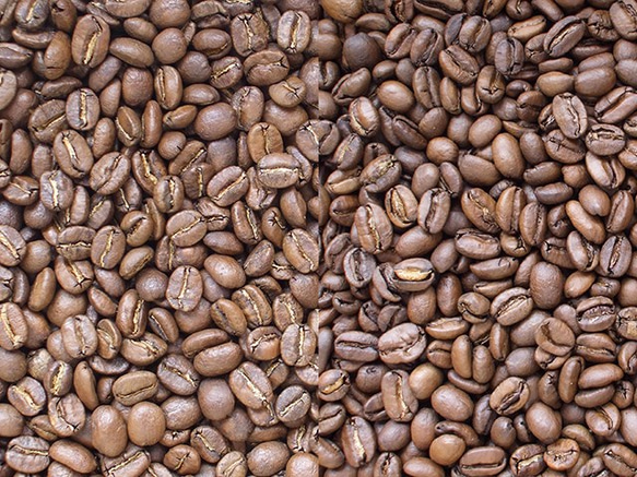 自家焙煎コーヒー豆　スィートモカブレンド 1枚目の画像