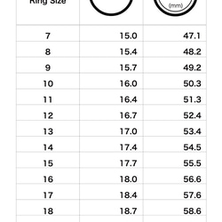 指輪　-Ice circle-　Ring 7枚目の画像