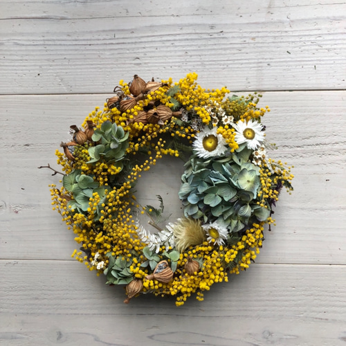 春のミモザ、ドライフラワーリース5 リース NATURAL COLOR 通販  