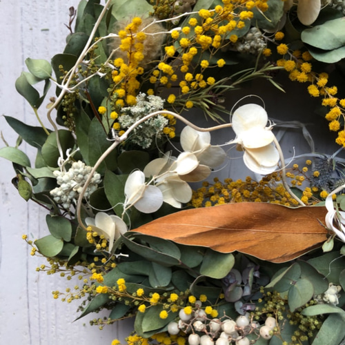 ミモザとユーカリの春リース　ドライフラワーリース ⅱ 楽天市場】ミモザドライフラワーリース ドライフラワー ミモザ