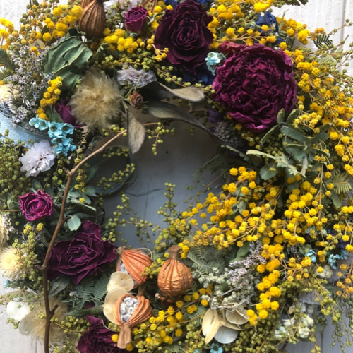 春・ナチュラルなミモザのドライフラワーリース・変形 リース NATURAL