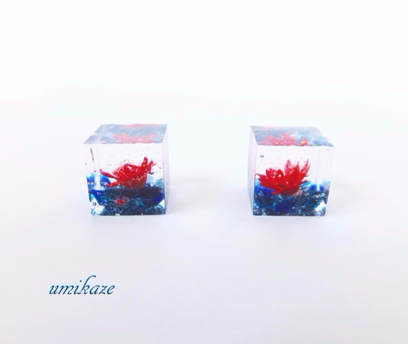 水中に咲く赤い花　キューブピアス/イヤリング 10枚目の画像