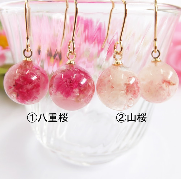 春を感じる桜の一粒ピアス/イヤリング 4枚目の画像