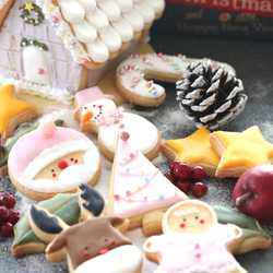 X'mas限定 クリスマスのアイシングクッキー （Christmas icingcookie) 1枚目の画像