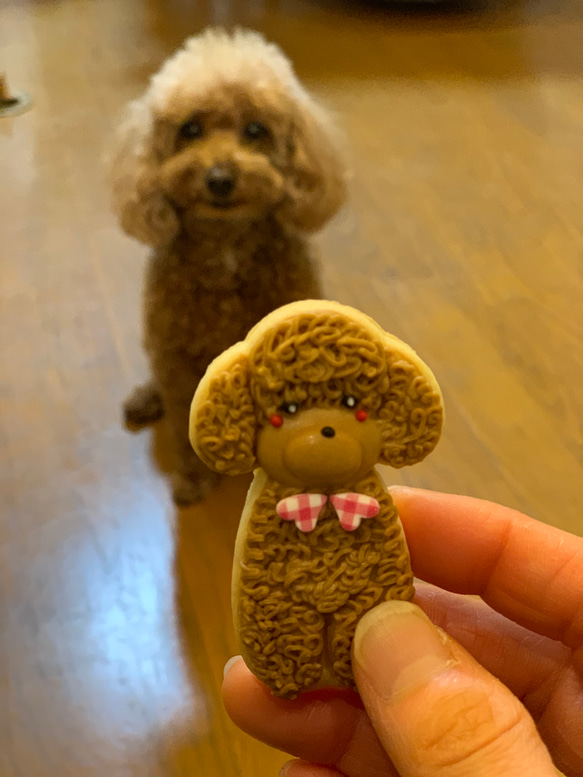 トイプードルのアイシンクッキー(french poodle’s icing cookie) 3枚目の画像