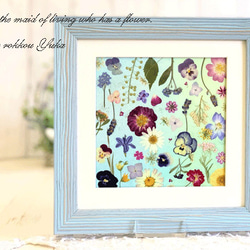 押し花額 ブルーのお花のファンタジー 押し花額 その他アート 神戸六甲 優花