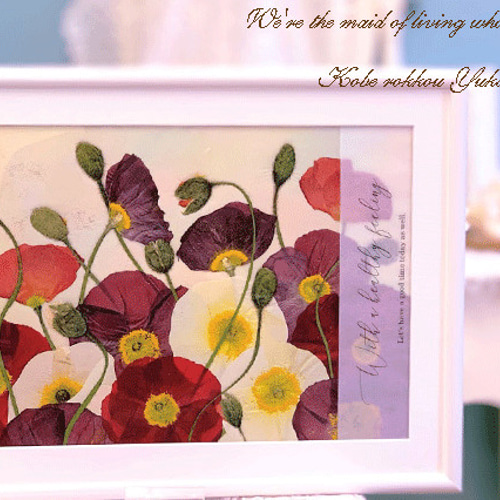 元気になるビタミンカラーのポピー 押し花アート額 その他アート 神戸