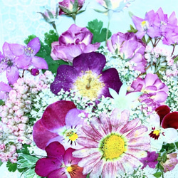 淡い虹色台紙のピンクの花束　押し花アート額 5枚目の画像