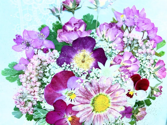 淡い虹色台紙のピンクの花束　押し花アート額 5枚目の画像