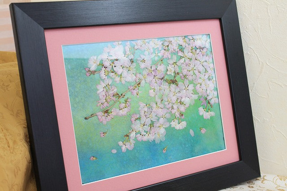 桜春はあけぼの 5枚目の画像
