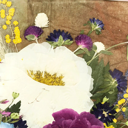 シャクヤクの和み　押し花インテリアアート額 2枚目の画像