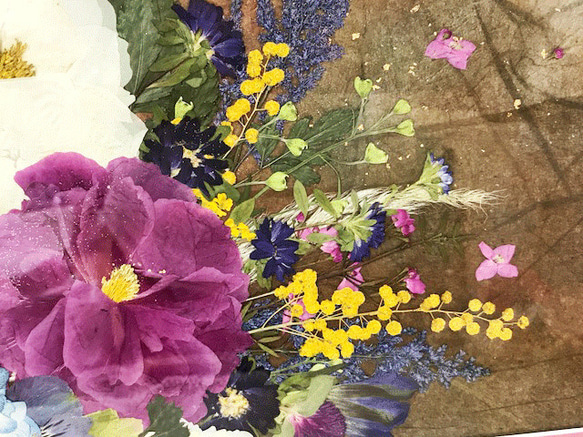 シャクヤクの和み　押し花インテリアアート額 3枚目の画像