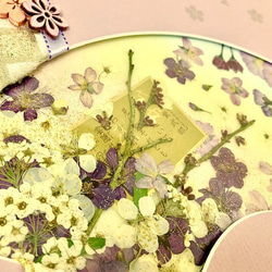 桜と梅と和歌の扇面押し花アートフレーム額 2枚目の画像