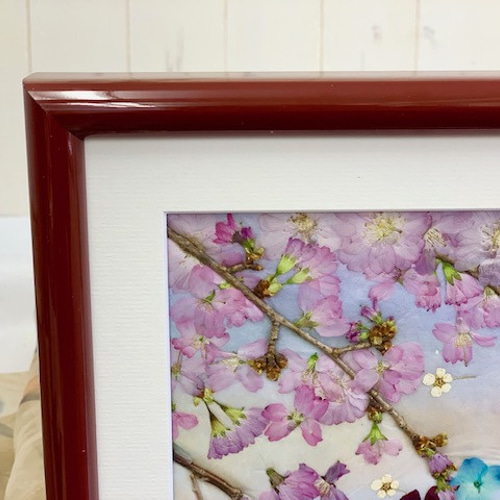 押し花絵額　桜 さとふる限定】押し花絵(49額 ) 桜たちのお月見 | 福岡県大牟田