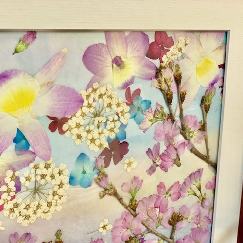 押し花アート　桜　馬　絵画 押し花アート 桜 馬 絵画