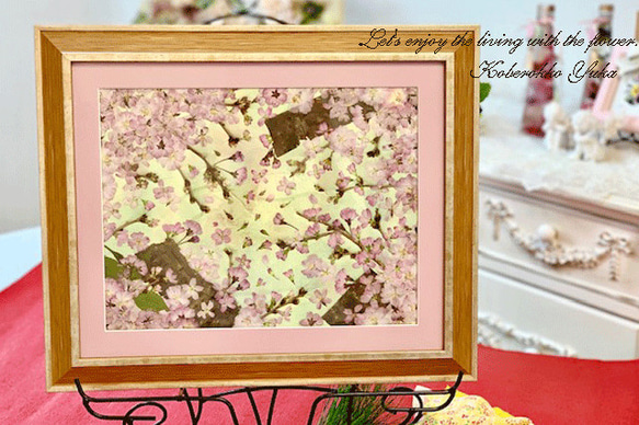 押し花専用額 押し花アート 不思議な花倶楽部 サクラ 風景 押し花専用額 押し花アート 不思議な花倶楽部 サクラ 風景