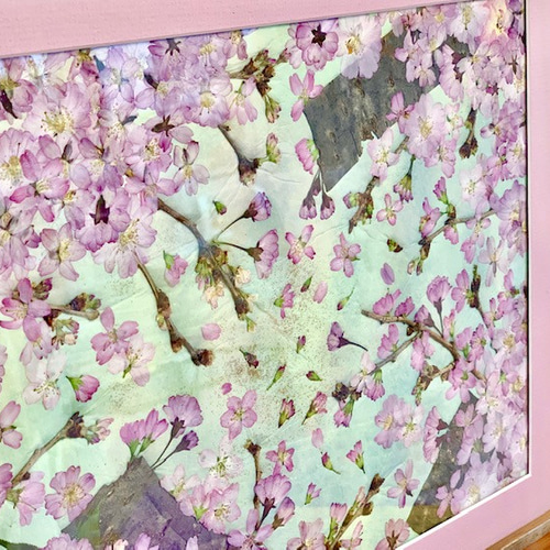 穏やかな春に舞う桜の押し花アート額 その他アート 神戸六甲