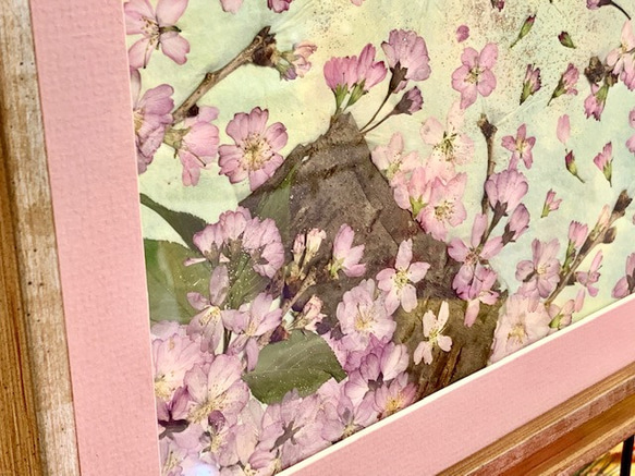 穏やかな春に舞う桜の押し花アート額 3枚目の画像