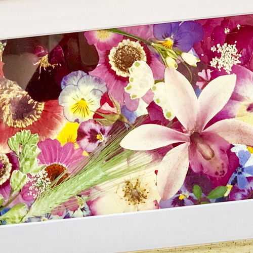 史上一番安い まるで絵みたい！ですが、本物の押し花がぎっしり入っている 絵画